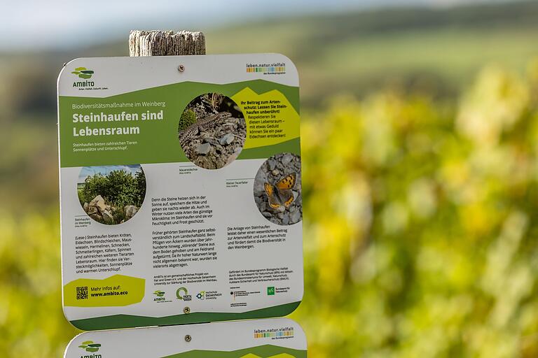 Unterwegs 'Rund ums Hörnle in Oberschwarzach': Auch an Artenschutz und Informationen über Lebensraum, Flora und Fauna wurde entlang des Wegs gedacht. Unterwegs 'Rund ums Hörnle in Oberschwarzach': Auch an Artenschutz und Informationen über Lebensraum, Flora und Fauna wurde entlang des Wegs gedacht.