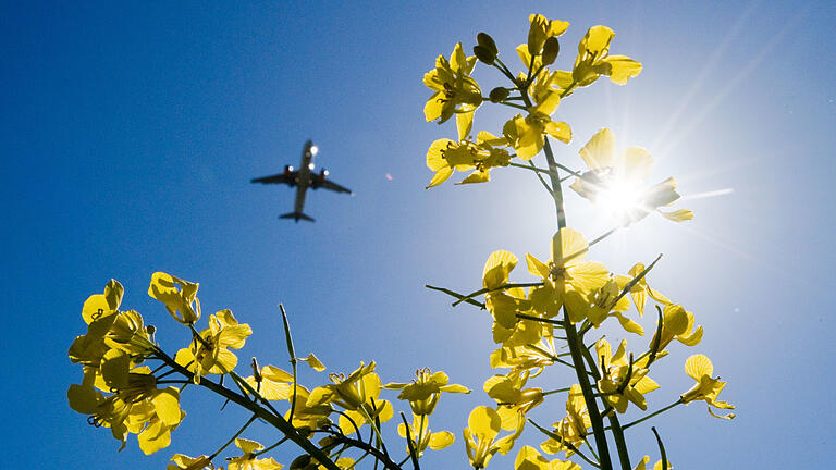 Ein Flugzeug überfliegt in geringer Höhe ein Rapsfeld. Der Cargo-Flieger, der jetzt Treibstoff abließ, war rund vier Kilometer hoch. (Symbolbild)