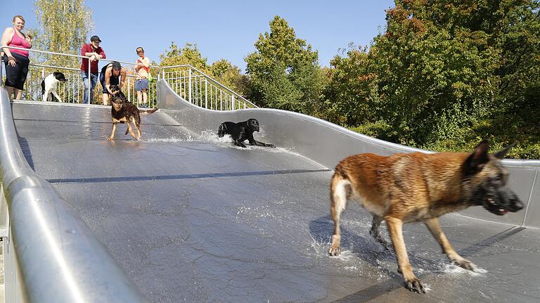 Bestens angenommen wurde und eine Riesengaudi war der Dog Day im Silvana Freizeitbad.