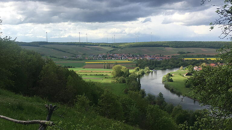 Der Main bei Untereisenheim, aus dessen Uferfiltrat das Wasser für die Trockenplatte gewonnen werden soll Der Main bei Untereisenheim, aus dessen Uferfiltrat das Wasser für die Trockenplatte gewonnen werden soll