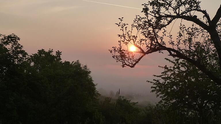 Nebel im Mai: Nach dem vielen Regen keine Seltenheit – gesehen am Main bei Sulzfeld Nebel im Mai: Nach dem vielen Regen keine Seltenheit – gesehen am Main bei Sulzfeld