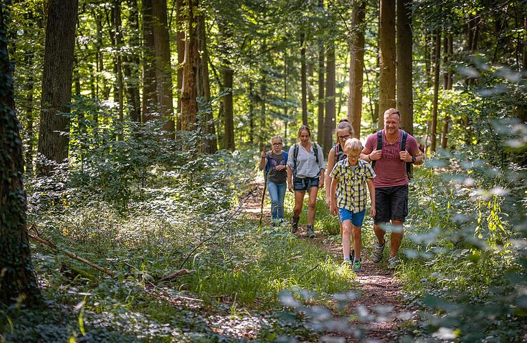 So viel Schatten! Wald-Wanderungen wie hier auf den Traumrunden rund um Iphofen bieten sich vor allem bei Hitze an.&nbsp;