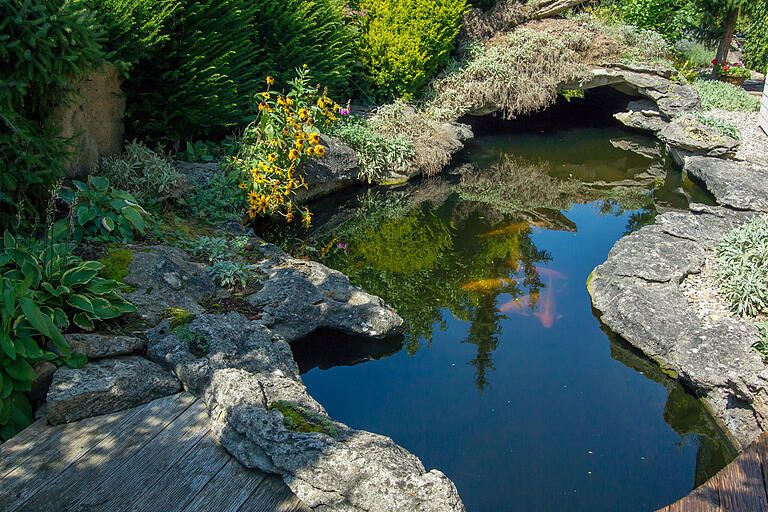 Im 20 Meter langen Fischteich ziehen zehn Koi-Karpfen und ein Stör ihre Runden. Im 20 Meter langen Fischteich ziehen zehn Koi-Karpfen und ein Stör ihre Runden.