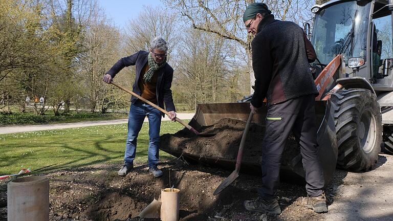 In Schwetzingen findet eine Kastanienanpflanzung statt.