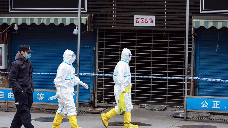 Coronavirus - China       -  Arbeiter in Schutzkleidung tragen eine Tasche, in der sich ein Riesensalamander befindet, der vom Huanan Seafood Market entkommen sein soll. (Archivbild)