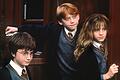 Harry Potter - Supermodel für Schuluniform       -  Harry Potter (Daniel Radcliffe), Ron Weasley (Rupert Grint) und Hermine Granger (Emma Watson) im Kinofilm &bdquo;Harry Potter und der Stein der Weisen&rdquo; an der Tür zu Hogwarts, der Schule für Zauberkunst.