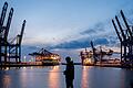 Hamburger Hafen       -  Ein Angler im Hamburger Hafen. Im Hintergrund sind die Containerbrücken vom Containerterminal Burchardkai und dem Terminal Eurogate zu sehen.