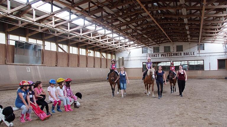 Vergangene Zeiten: Großes Interesse fanden alljährlich die Ferienspaß-Aktionen des Reitvereins Schweinfurt, bei denen die Kleinen Schnupperunterricht erhielten. Vergangene Zeiten: Großes Interesse fanden alljährlich die Ferienspaß-Aktionen des Reitvereins Schweinfurt, bei denen die Kleinen Schnupperunterricht erhielten.