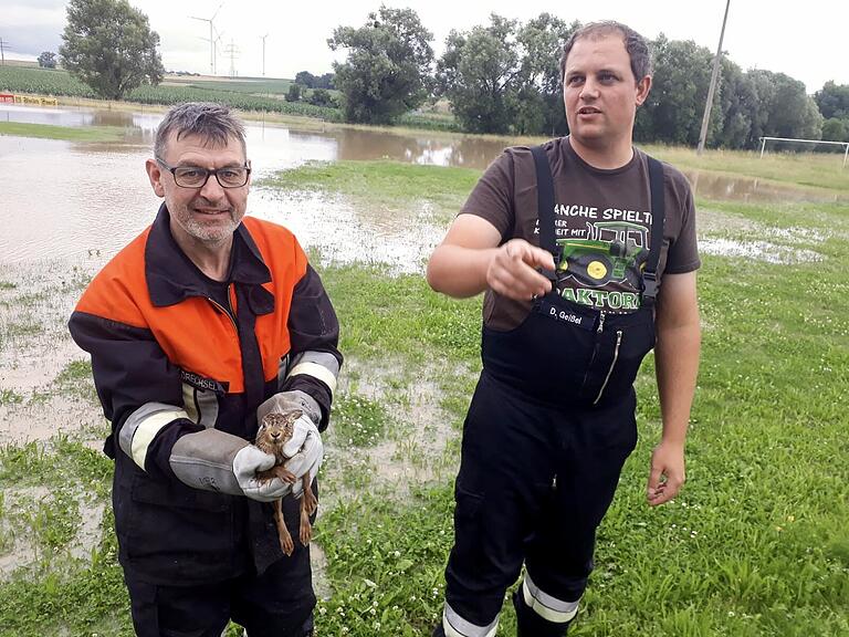Die Zeilitzheimer Feuerwehrleute Volker Drechsel (links) und Daniel Geißel retteten ein Häschen vor dem Ertrinken. Die Zeilitzheimer Feuerwehrleute Volker Drechsel (links) und Daniel Geißel retteten ein Häschen vor dem Ertrinken.