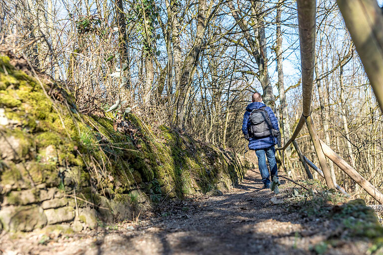 Auf dem Jägerpfad geht es durchs Landschaftsschutzgebiet Mainleite.