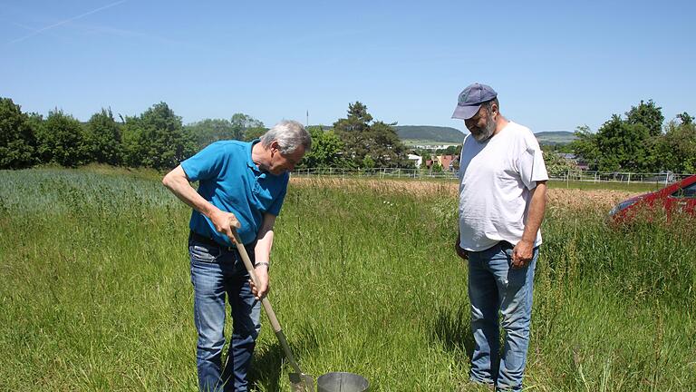 Rainer Schubert (links) vom Amt für Ernährung, Landwirtschaft und Forsten aus Schweinfurt und Hans-Jürgen Pfülb von Naturlandbetrieb Pfülb aus Fuchsstadt prüfen mit einem Versuch die Wasseraufnahmefähigkeit der örtlichen Böden. - Rainer Schubert (links) vom Amt für Ernährung, Landwirtschaft und Forsten aus Schweinfurt und Hans-Jürgen Pfülb von Naturlandbetrieb Pfülb aus Fuchsstadt prüfen mit einem Versuch die Wasseraufnahmefähigkeit der örtlichen Böden. Rainer Schubert (links) vom Amt für Ernährung, Landwirtschaft und Forsten aus Schweinfurt und Hans-Jürgen Pfülb von Naturlandbetrieb Pfülb aus Fuchsstadt prüfen mit einem Versuch die Wasseraufnahmefähigkeit der örtlichen Böden. - Rainer Schubert (links) vom Amt für Ernährung, Landwirtschaft und Forsten aus Schweinfurt und Hans-Jürgen Pfülb von Naturlandbetrieb Pfülb aus Fuchsstadt prüfen mit einem Versuch die Wasseraufnahmefähigkeit der örtlichen Böden.