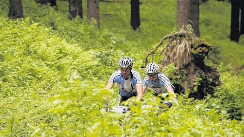 Trans Germany führt nicht mehr durch die Rhön - (seb) Die „Trans Germany“, eine der härtesten Herausforderungen für ambitionierte Mountainbiker in Deutschland, wird im kommenden Jahr die Rhön verlassen. Bei der vierten Auflage folgt das Radrennen einer komplett neuen Route. Das Etappenrennen wird im kommenden Jahr auf vier Tage verkürzt und vom 2. bis 5. Juni im Südwesten Deutschlands stattfinden. Heuer hatten Martin Voigt, Marco Fiedler, Sebastian Porada, Marek Jagos (alle Wildflecken), Michael Schmitt (Modlos) und Julian Stumpf (Thalau) die Herausforderung vom 21. bis zum 27. Juni angenommen und waren als „Team Bike World Brand – WSV Oberweißenbrunn“ an den Start gegangen. Die Lokalmatadoren um den Wildfleckener Rad-Routinier Martin Voigt hatten ihr umjubeltes Heimspiel auf der Etappe zwischen Frammersbach und Bischofsheim. Dieser Streckenabschnitt hatte eine Länge von etwa 83 Kilometern. Für das Jahr 2010 ist der Start in Garmisch-Partenkirchen geplant. Es folgen Zwischenstopps im Tannheimer Tal, Pfronten und Sonthofen sowie das Ziel Bregenz am Bodensee. Insgesamt werden knapp 250 Kilometer und über 10 000 Höhenmeter zu bewältigen sein. Der Austragungsmodus bleibt trotz neuer Streckenverläufe unverändert. Es besteht weiterhin die Möglichkeit, neben der Einzelwertung auch mit einem Team anzutreten. Ab November können sich Interessierte anmelden. Martin Voigt kündigte an, wieder mit dabei zu sein. Trans Germany führt nicht mehr durch die Rhön - (seb) Die „Trans Germany“, eine der härtesten Herausforderungen für ambitionierte Mountainbiker in Deutschland, wird im kommenden Jahr die Rhön verlassen. Bei der vierten Auflage folgt das Radrennen einer komplett neuen Route. Das Etappenrennen wird im kommenden Jahr auf vier Tage verkürzt und vom 2. bis 5. Juni im Südwesten Deutschlands stattfinden. Heuer hatten Martin Voigt, Marco Fiedler, Sebastian Porada, Marek Jagos (alle Wildflecken), Michael Schmitt (Modlos) und Julian Stumpf (Thalau) die Herausforderung vom 21. bis zum 27. Juni angenommen und waren als „Team Bike World Brand – WSV Oberweißenbrunn“ an den Start gegangen. Die Lokalmatadoren um den Wildfleckener Rad-Routinier Martin Voigt hatten ihr umjubeltes Heimspiel auf der Etappe zwischen Frammersbach und Bischofsheim. Dieser Streckenabschnitt hatte eine Länge von etwa 83 Kilometern. Für das Jahr 2010 ist der Start in Garmisch-Partenkirchen geplant. Es folgen Zwischenstopps im Tannheimer Tal, Pfronten und Sonthofen sowie das Ziel Bregenz am Bodensee. Insgesamt werden knapp 250 Kilometer und über 10 000 Höhenmeter zu bewältigen sein. Der Austragungsmodus bleibt trotz neuer Streckenverläufe unverändert. Es besteht weiterhin die Möglichkeit, neben der Einzelwertung auch mit einem Team anzutreten. Ab November können sich Interessierte anmelden. Martin Voigt kündigte an, wieder mit dabei zu sein.