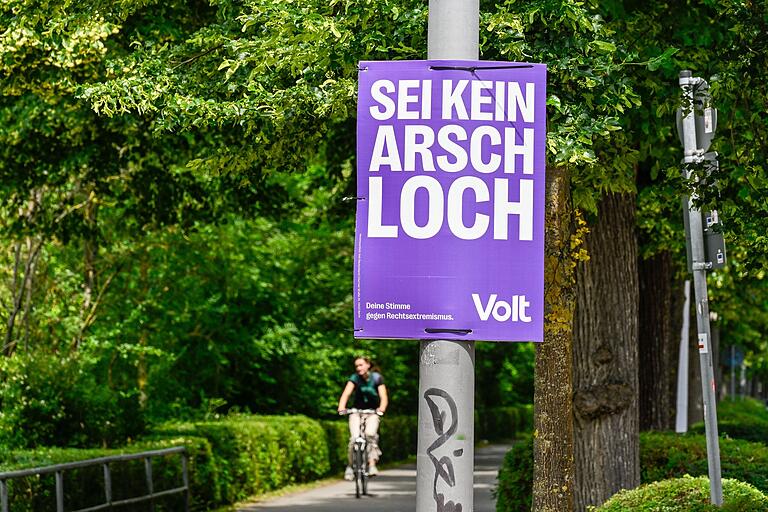 Mit Plakaten wie diesem sorgte die Partei Volt im Europawahlkampf in Würzburg für Gesprächsstoff. Mit Plakaten wie diesem sorgte die Partei Volt im Europawahlkampf in Würzburg für Gesprächsstoff.
