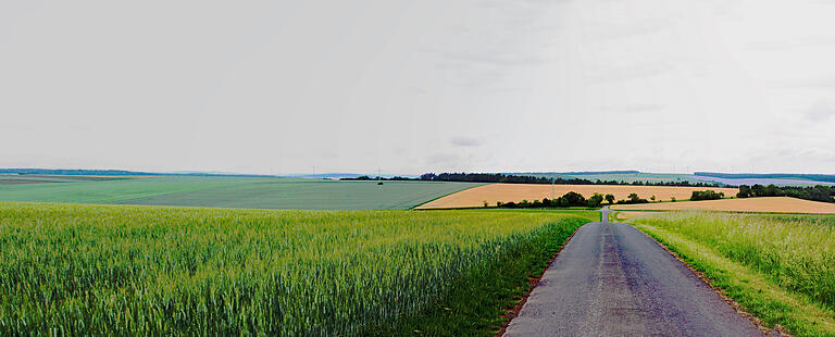Auf drei Teilflächen von insgesamt 17 Hektar soll eine Fotovoltaikanlage mit einem Ertrag von 18 Megawatt zwischen der Staatsstraße nach Retzbach und der Buchenhölle entstehen. Auf drei Teilflächen von insgesamt 17 Hektar soll eine Fotovoltaikanlage mit einem Ertrag von 18 Megawatt zwischen der Staatsstraße nach Retzbach und der Buchenhölle entstehen.