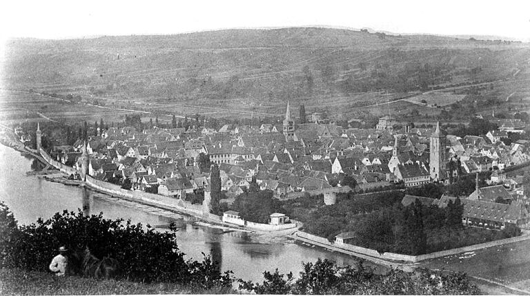 Der Main reichte früher bis zum Baggertsweg und damit fast bis zum Hegewaldgelände. Das Foto muss vor 1880 aufgenommen worden sein, denn die Mainbrücke fehlt noch. Deutlich zu erkennen der höhere Kamin des Maschinenhauses der Schürerschen Zigarrenfabrik. Auch hat das langgezogene Gebäude im Hegewaldgelände andere Gauben als heute. Und daran angebaut ist im Norden noch ein weiteres Gebäude.&nbsp;