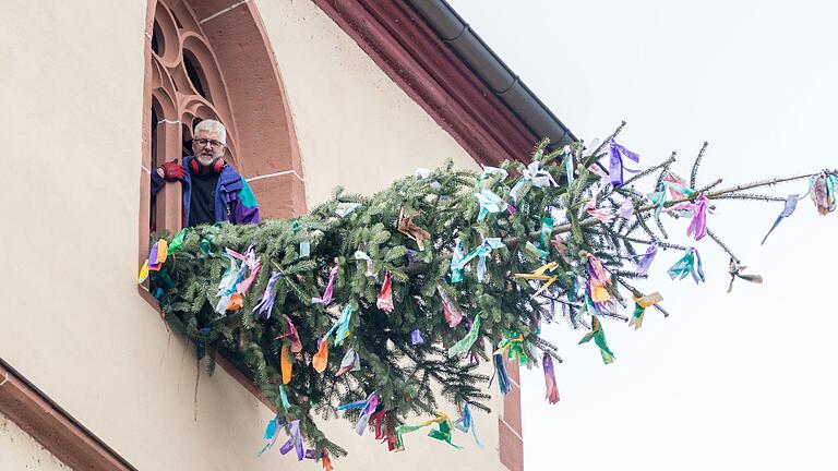 Noch hängt der Gössenheimer 'Zachäus-Baum' waagrecht aus dem Turmfenster der Radegundiskirche.