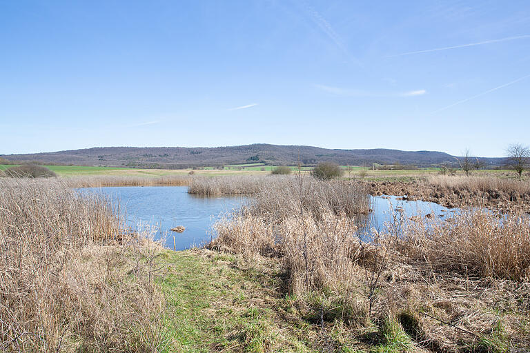 Ausflugstipp: Unterwegs auf der Streifbergtour in Ostheim in den Haßbergen. Die Wanderung geht am Himmelsweiher vorbei. Ausflugstipp: Unterwegs auf der Streifbergtour in Ostheim in den Haßbergen. Die Wanderung geht am Himmelsweiher vorbei.