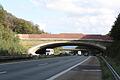 Die Grünbrücke über die A 7. Archiv/Bartl       -  Die Grünbrücke über die A 7. Archiv/Bartl