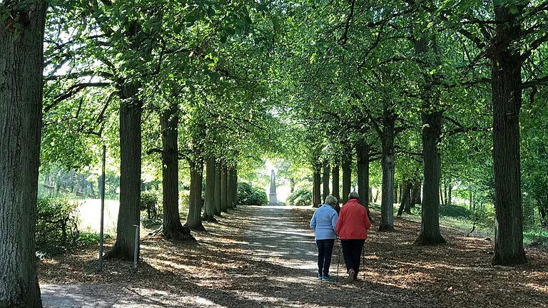 Was wird aus dem Schlosspark auf dem Schwanberg? Die Antwort scheint derzeit offener denn je.