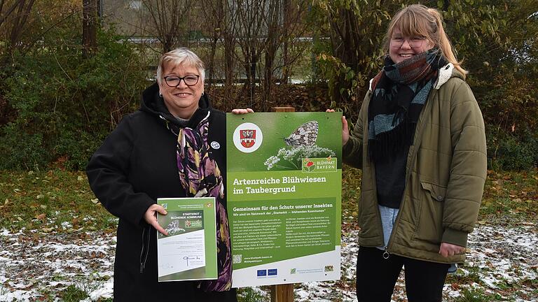 Für das Projekt 'Artenreiche Blühwiesen im Taubergrund' erhält die Gemeinde Tauberrettersheim ein Starterkit von 5000 Euro. Ines Stark (rechts), Beraterin beim Projekt 'Blühpakt Bayern' von der Regierung von Unterfranken, gratulierte Bürgermeisterin Karin Fries.