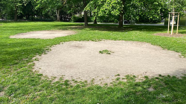 Die große braune kreisförmige Kahlstellen im Ringpark und auf anderen Wiesenflächen sorgen bei einigen Würzburgerinnen und Würzburgern für Verärgerung. Die große braune kreisförmige Kahlstellen im Ringpark und auf anderen Wiesenflächen sorgen bei einigen Würzburgerinnen und Würzburgern für Verärgerung.