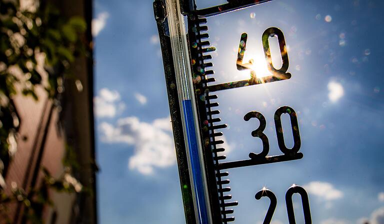 Die anhaltend hohen Temperaturen machen der Natur in Unterfranken zu schaffen.