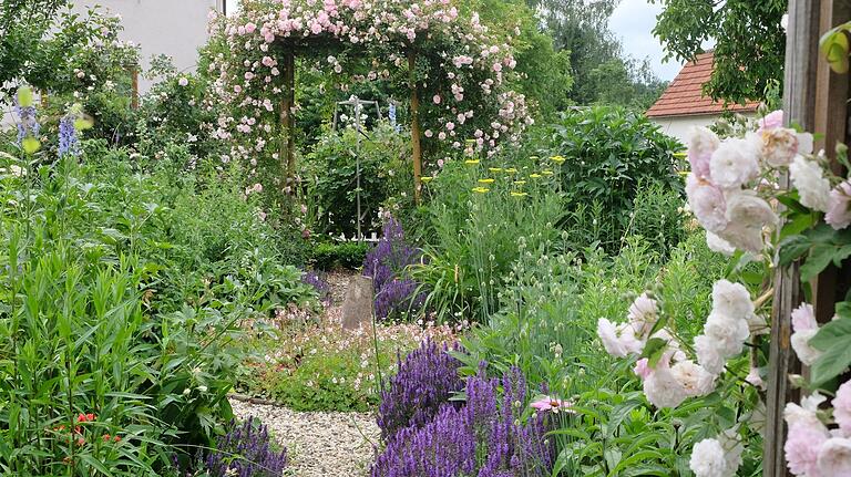 Der Privatgarten von Sabine Pecoraro-Schneider und Reinhard Schneider in Knetzgau ist ein blühendes Paradies. Der Privatgarten von Sabine Pecoraro-Schneider und Reinhard Schneider in Knetzgau ist ein blühendes Paradies.