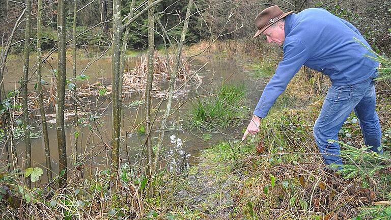 An einem Biotop in der Waldabteilung Schöpfensee bei Eckartshausen zeigt Förster Wolfgang Meiners auf Spuren von Wildtieren.