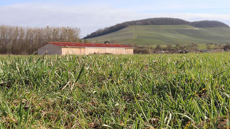 Im Iphöfer Naherholungsgebiet Schießgrund sollen neben der Maschinenhalle auch noch ein Weingut mit Ferienwohnungen und ein Wohnhaus entstehen. Im Iphöfer Naherholungsgebiet Schießgrund sollen neben der Maschinenhalle auch noch ein Weingut mit Ferienwohnungen und ein Wohnhaus entstehen.