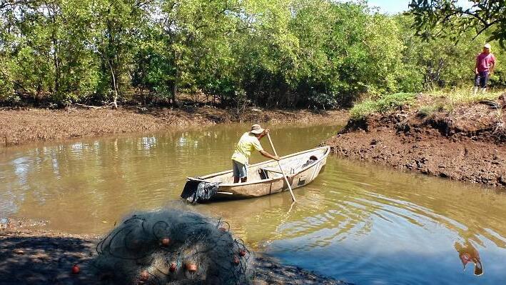 Shrimps-Farmer in den küstennahen Wäldern auf der Halbinsel Nicoya in Costa Rica: Über Kanäle leiten sie Meerwasser in Teiche, in denen die Garnelen aufwachsen. Etliche Betriebe haben auf biologische Methoden umgestellt und arbeiten für den Export nach Deutschland. Teile des Erlöses werden dafür verwendet, die biologische Vielfalt der Küstenregion und die für den Hochwasserschutz wichtigen Mangrovenwälder zu stärken. Shrimps-Farmer in den küstennahen Wäldern auf der Halbinsel Nicoya in Costa Rica: Über Kanäle leiten sie Meerwasser in Teiche, in denen die Garnelen aufwachsen. Etliche Betriebe haben auf biologische Methoden umgestellt und arbeiten für den Export nach Deutschland. Teile des Erlöses werden dafür verwendet, die biologische Vielfalt der Küstenregion und die für den Hochwasserschutz wichtigen Mangrovenwälder zu stärken.
