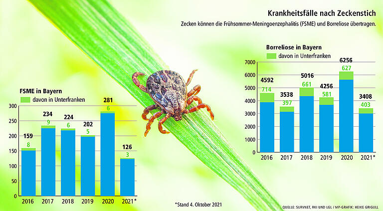Permanente Schmerzen nach Zeckenstich: Zwei Betroffene aus Unterfranken berichten über Borreliose Permanente Schmerzen nach Zeckenstich: Zwei Betroffene aus Unterfranken berichten über Borreliose