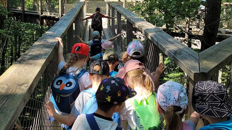 Die Vorschulkinder auf dem Weg zur Spitze des Baumwipfelpfades.