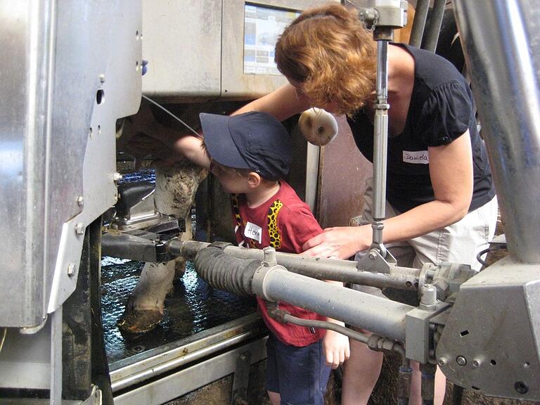 Beim Besuch des Milchbauernhofs Schreck in Gissigheim durften die Kinder der Siegerklassen unter Anleitung von Daniela Schreck Melkversuche an einer echten Kuh am Melkroboter machen.