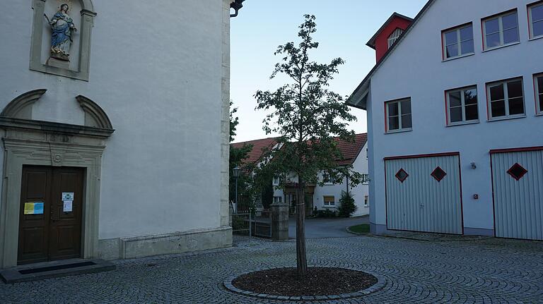 Der Baum vor der Kirche und dem Feuerwehrgerätehaus soll mit Ziersträuchern umpflanzt werden. Doch der stellvertretende Bürgermeister und Kommandant Frank Eckert bat, den Baum ganz zu entfernen.