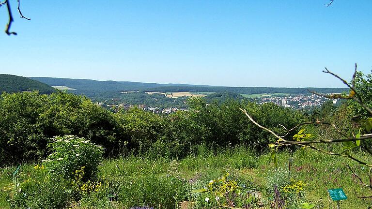 Ein besonderes Projekt des Arbeitskreises: der Wild- und Kulturpflanzengarten am Sinnberg in Bad Kissingen, der 1987 eröffnet wurde. - Ein besonderes Projekt des Arbeitskreises: der Wild- und Kulturpflanzengarten am Sinnberg in Bad Kissingen, der 1987 eröffnet wurde. Ein besonderes Projekt des Arbeitskreises: der Wild- und Kulturpflanzengarten am Sinnberg in Bad Kissingen, der 1987 eröffnet wurde. - Ein besonderes Projekt des Arbeitskreises: der Wild- und Kulturpflanzengarten am Sinnberg in Bad Kissingen, der 1987 eröffnet wurde.