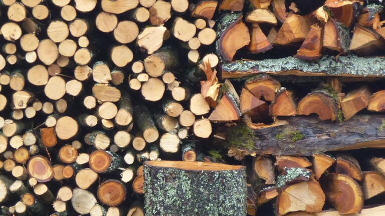 Wildflecken - Pilzsammeln, Holzversorgung, Betretungsrechte, Schwarzwild – ein Referatsleiter des Umweltministeriums äußerte sich bei einer Bürgerversammlung in Heigenbrücken zu vielen Themen, die im Zuge der Nationalparkdiskussion kontrovers diskutiert werden Wildflecken - Pilzsammeln, Holzversorgung, Betretungsrechte, Schwarzwild – ein Referatsleiter des Umweltministeriums äußerte sich bei einer Bürgerversammlung in Heigenbrücken zu vielen Themen, die im Zuge der Nationalparkdiskussion kontrovers diskutiert werden
