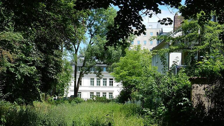 Zwischen der Stadtmauer an der Neuen Gasse wuchert schon jetzt das Grün. Anvisiert ist eine Gehweg vom Kornmarkt bis zum Theater.