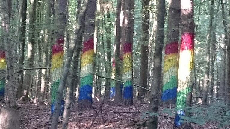 Bunte Baumkunst auf der Bayerischen Schanz: die Kinder waren kreativ.