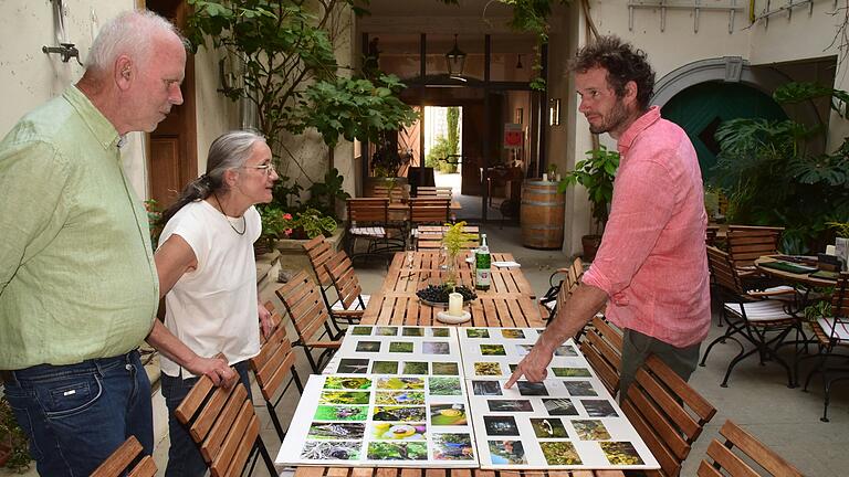 Helmut, Angelika und Michael Christ (von links) schauen sich im Innenhof des Familienweinguts Fotos vom vielfältigen Leben im Weinberg, der Lese und der Arbeit im Weinkeller an.