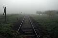 Die Bahngleise der Mainschleifenbahn im Morgennebel. Auch die Anbindung an das DB-Netz liegt derzeit eher noch im Nebel.