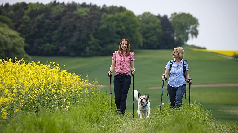 Franken verfügt über ein Wanderwegenetz von rund 10 000 Kilometern.&nbsp;