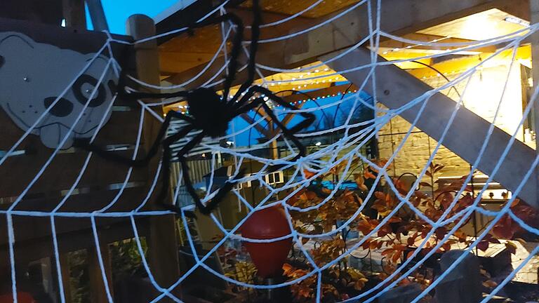 Auch eine Spinne und ihr Netz dürfen an Halloween nicht fehlen. Auch eine Spinne und ihr Netz dürfen an Halloween nicht fehlen.