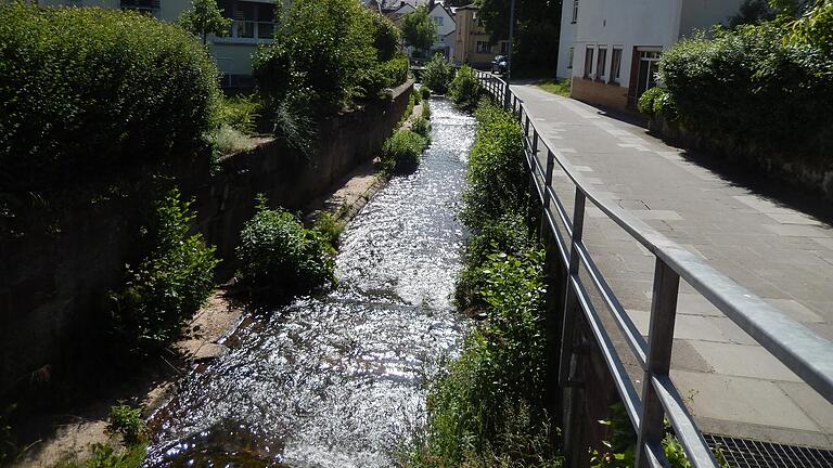 Von der Brücke an der Grundschule bis zur Vorstadtstraße ist das Rattenproblem am Kaibach besonders groß.&nbsp;