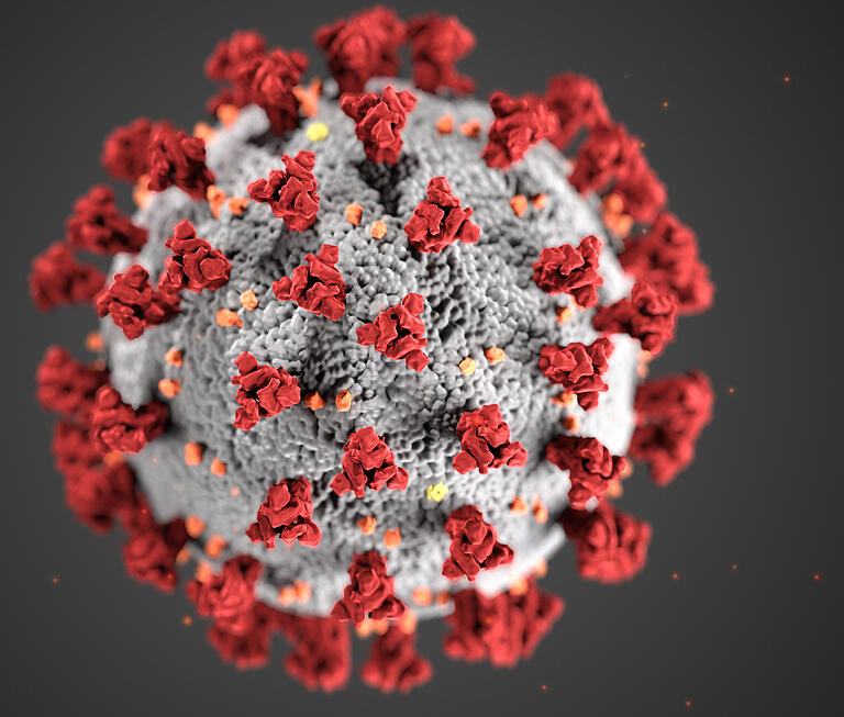 Laut Gesundheitsamt Haßberge sind im Landkreis inzwischen 60 Mutanten des Coronavirus nachgewiesen worden - hier ein Modell des Erregers. Laut Gesundheitsamt Haßberge sind im Landkreis inzwischen 60 Mutanten des Coronavirus nachgewiesen worden - hier ein Modell des Erregers.