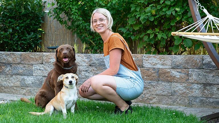 Ein Urlaub mit Vierbeinern muss gut geplant sein. Individuelle Beratungen bietet Julia Schimpp mit ihrem Reisebüro Doglidays in Gerolzhofen. Ein Urlaub mit Vierbeinern muss gut geplant sein. Individuelle Beratungen bietet Julia Schimpp mit ihrem Reisebüro Doglidays in Gerolzhofen.