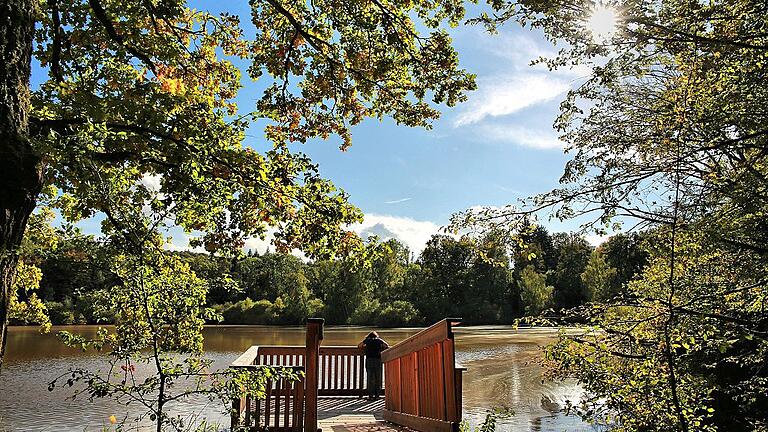 Im September 2013 wurden der Naturwaldweg Wolfsee bei Dornheim eröffnet. Im Wald südlich und östlich der Wolfseen findet seit dem Jahr 1978 keine forstwirtschaftliche Nutzung mehr statt. Am Großen Wolfsee mit seiner Aussichtsplattform führt einer der neuen TraumRunden des Landkreises Kitzingen vorbei.