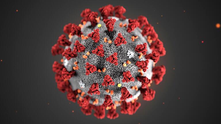 Das Coronavirus (hier in einer Illustration) verändert sich ständig - nicht immer zum Vorteil des Menschen. In der indischen Variante ist es deutlich ansteckender.