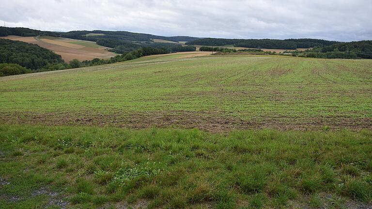 Auf dieser landwirtschaftlichen Ackerfläche von etwa 6,2 ha auf der Wüstenzeller Gemarkung wird künftig eine Freiflächen-Photovoltaik-Anlage ihren Standort haben.