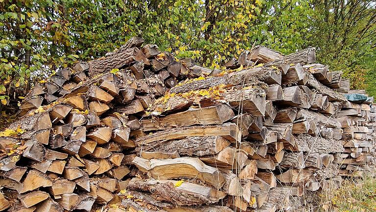 Brennholz kostet in diesem Winter deutlich mehr als in den Vorjahren.       -  Brennholz kostet in diesem Winter deutlich mehr als in den Vorjahren.