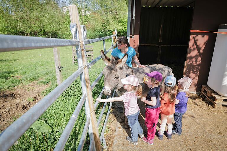 Es gibt die Schutzhütte am Radweg nach Harthausen – das Gelände daneben gehört Bauhofleiter Hermann Michel, der zusätzlich zu Kühen extra Esel für die Kinder angeschafft hat, um die sie sich kümmern. Hier zusammen mit Kindergartenleiterin Monika Trenten. Es gibt die Schutzhütte am Radweg nach Harthausen – das Gelände daneben gehört Bauhofleiter Hermann Michel, der zusätzlich zu Kühen extra Esel für die Kinder angeschafft hat, um die sie sich kümmern. Hier zusammen mit Kindergartenleiterin Monika Trenten.